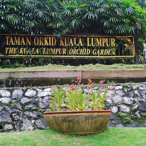 Orchid & Hibiscus Garden